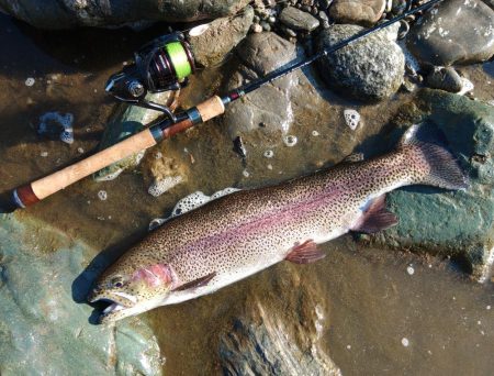 朝は爆風、午後は穏やか ～天竜川ルアーフラ…
